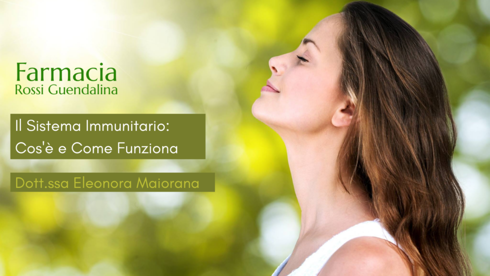 Il Sistema Immunitario: Cos’è e Come Funziona
